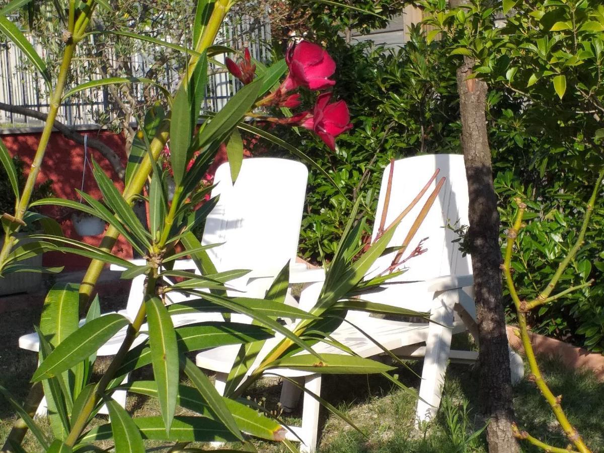 Bed & Breakfast La Rosa Rossa Cagli Ngoại thất bức ảnh