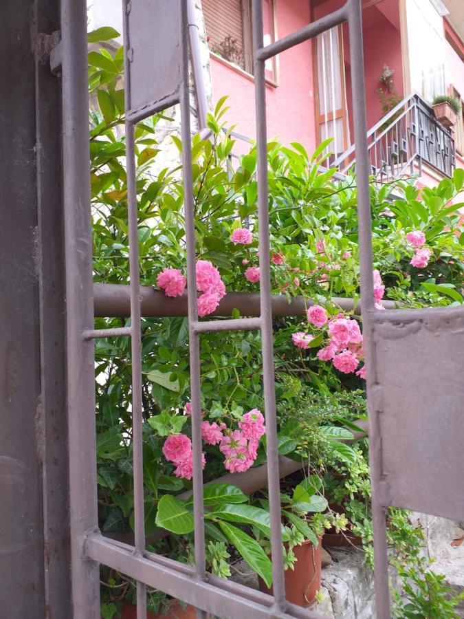Bed & Breakfast La Rosa Rossa Cagli Ngoại thất bức ảnh